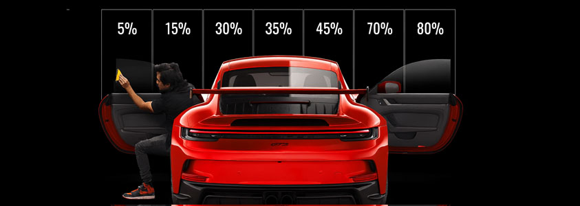 película para ventanas de mascotas